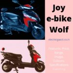 जॉय ई-बाइक वोल्फ | Joy E-Bike Wolf